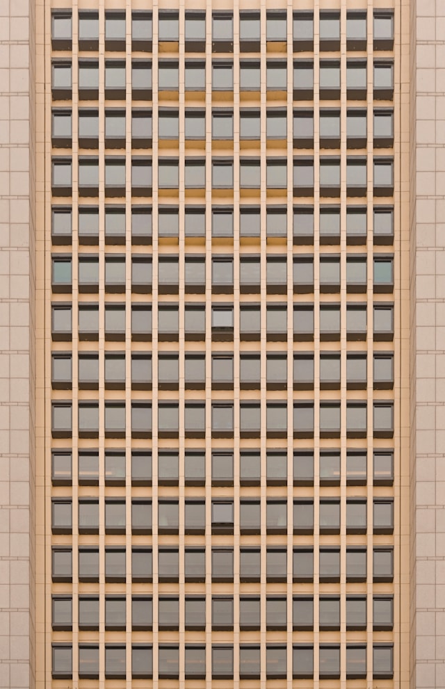 Layout & Grid